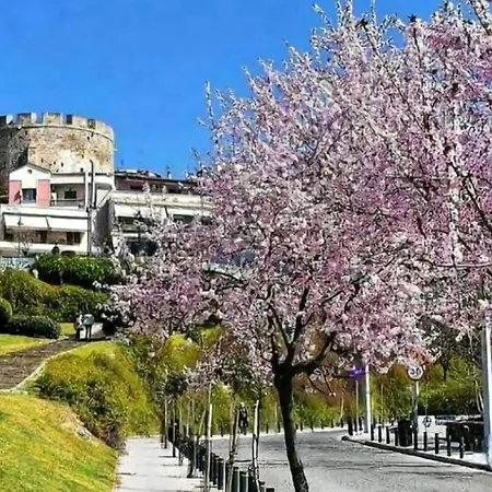 Bi&ly 34 Old Town With View Appartement Thessalonique